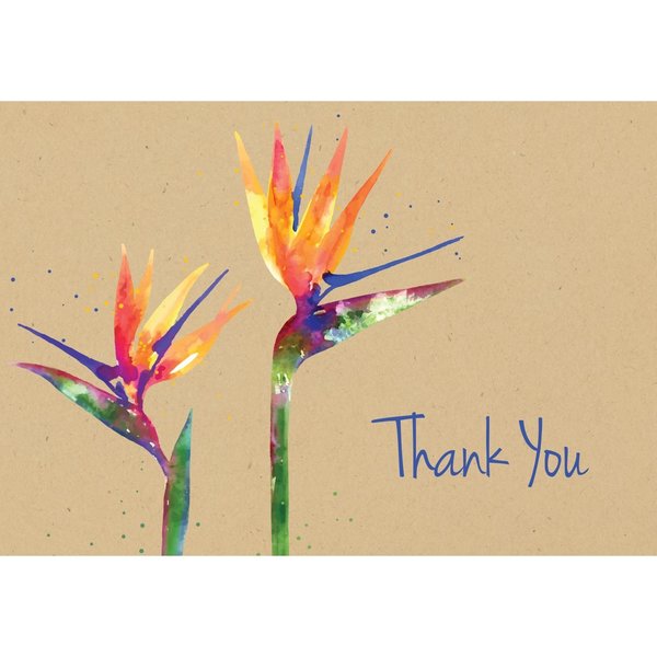 Thank You Card W/Envelope, Paradise, PK50
