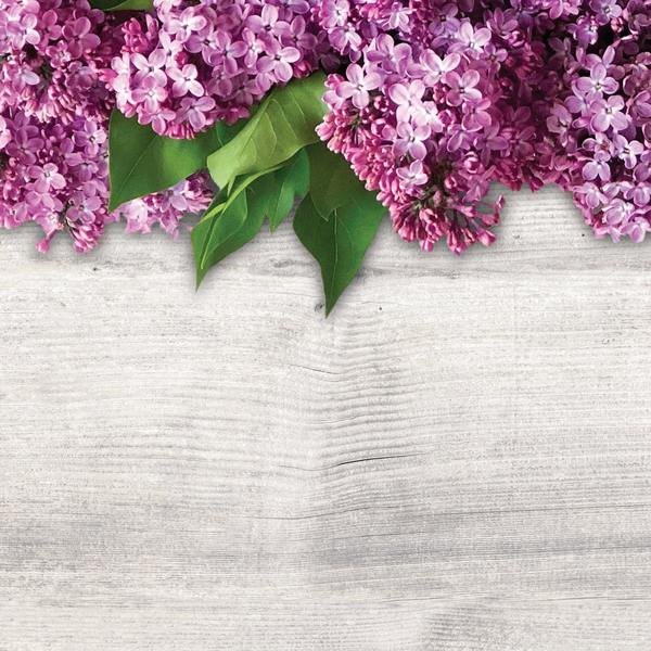 Stationery Letterhead, Lovely Lila, PK80