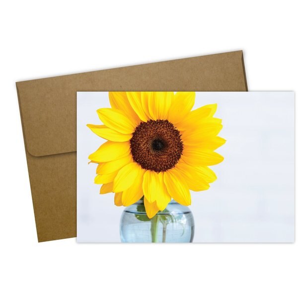 Note Card and Envelopes, Brighter, PK50