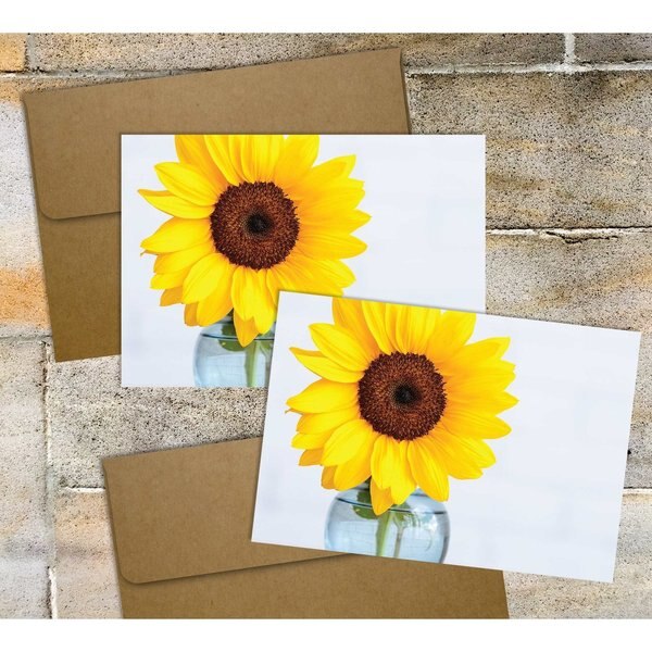 Note Card and Envelopes, Brighter, PK50