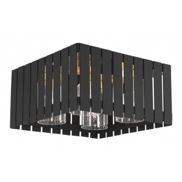 Black with Satin Brass Accents Outdoor F