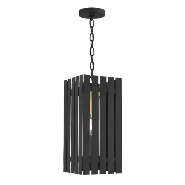 Black with Satin Brass Accents Outdoor P