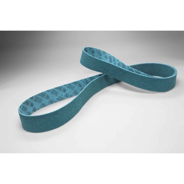 Surface Conditning Belt, 1/2