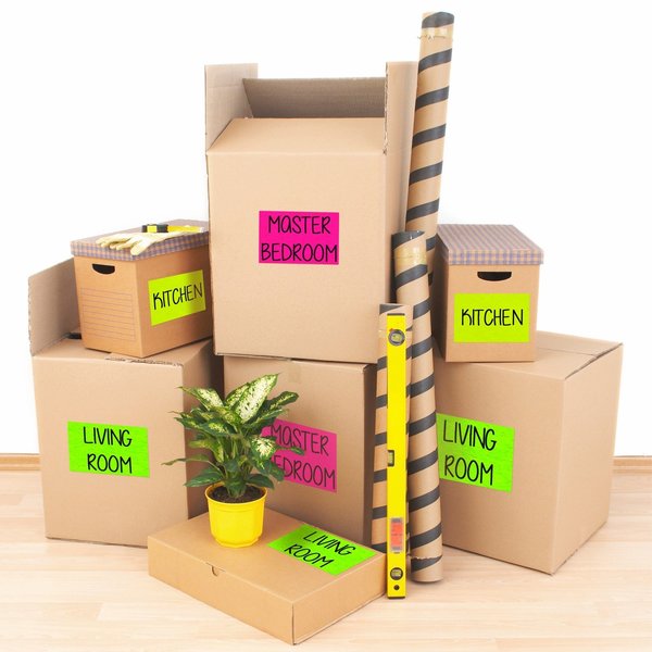 Neon Shipping Labels, Laser, 5-1/2