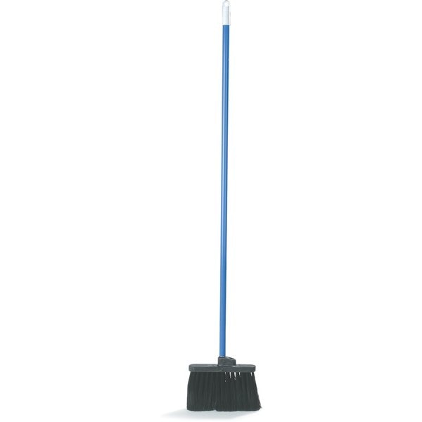 Unflagged Broom, 11