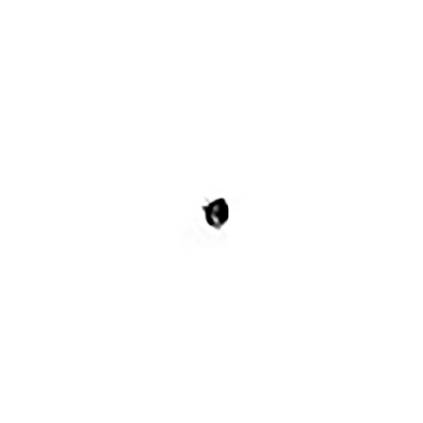 Nut- Washer Cap 1/2