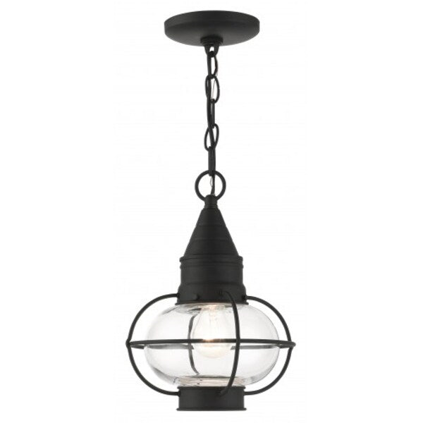 Black Outdoor Pendant Lantern, 1 Light