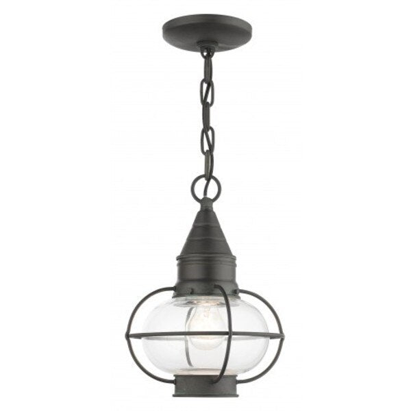 Charcoal Outdoor Pendant Lantern, 1 Light
