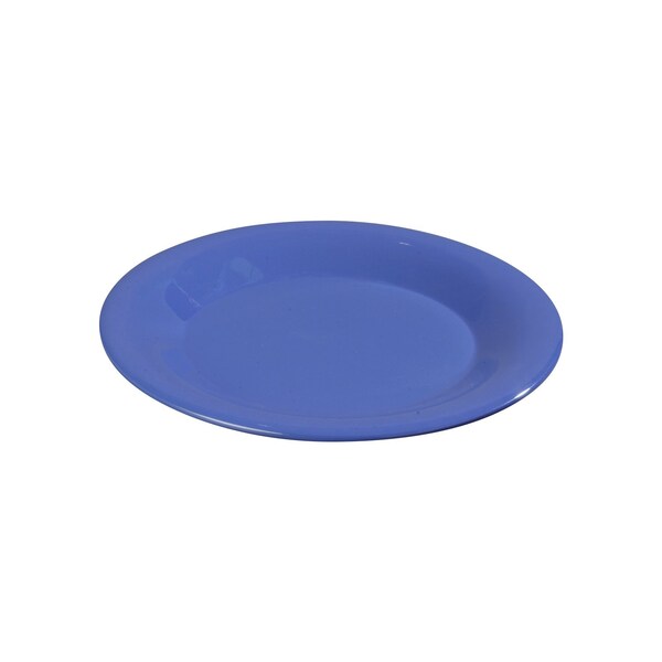 Wide Rim Dinner Plate, 9