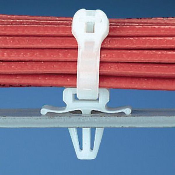 Cable Tie, Mnt, Wingedpsh Mnt, Wr, Bl, PK1000