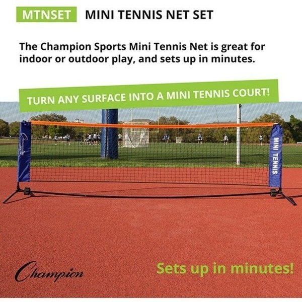 Mini Tennis Net, 10ft Wx3ft H, w/Case
