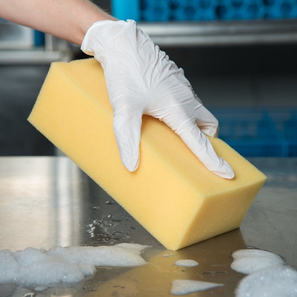 Extra Large Sponge, 8-1/4