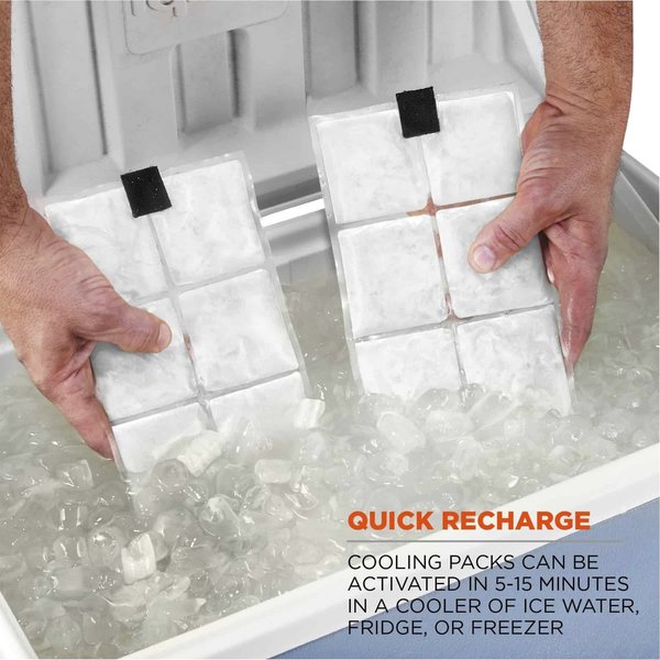 Cooling Vest, Cold Pack Inserts, Zipper
