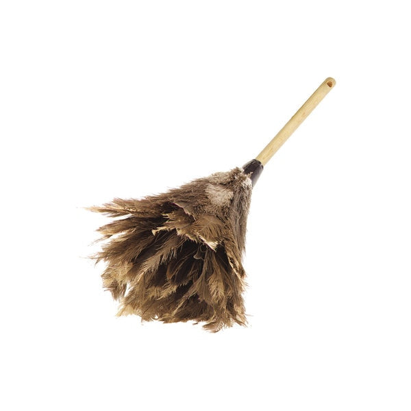 Feather Duster, 24