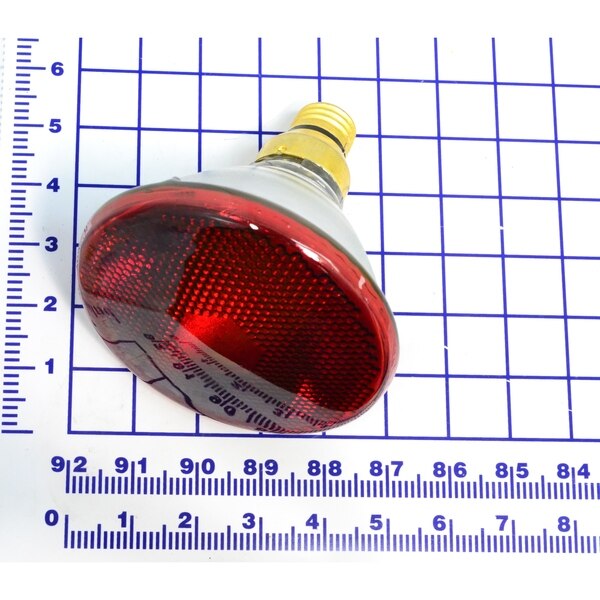 Bulbs, Red Incandescent Bulb, 120V