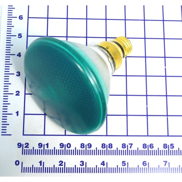 Bulbs, Green Incandescent Bulb, 120V