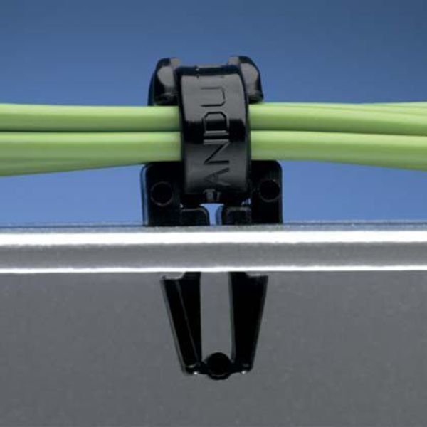 Cable Tie Mount, Through Panel, PK1000