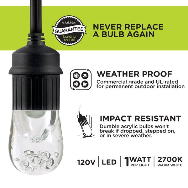 Cafe Lights, 48 ft., 24 Bulb