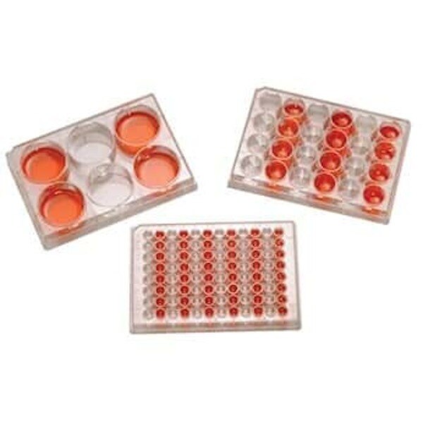 Sterile Non-Treated Tissue Cultur, PK 100