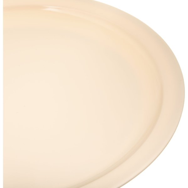 Melamine Dinner Plate, 10