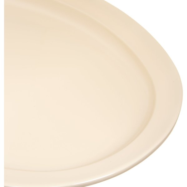 Melamine Plttr Tray, 13.5x9.75