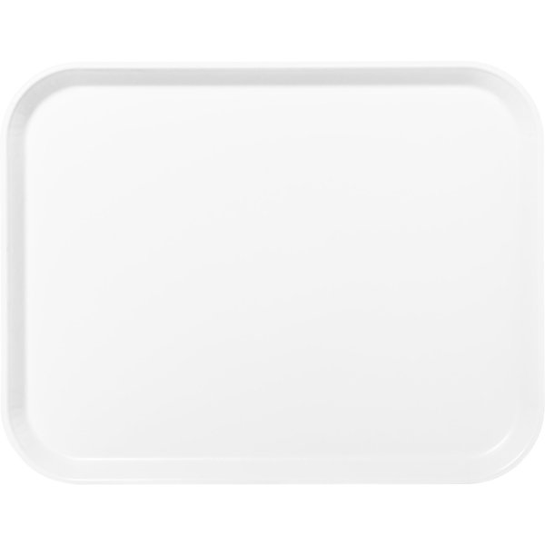 Fiberglass Tray, 18x14