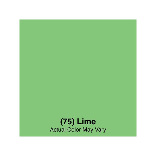 Bottle Brush, Lime, Polypropylene
