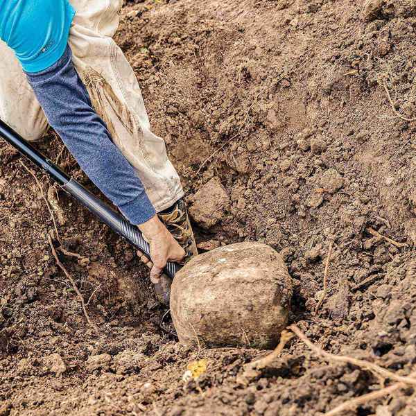 Pro D-handled Digging Shovel