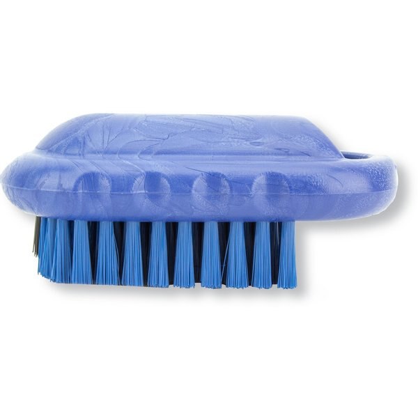 2.25 in W Hand and Nail Brush, Blue, Polypropylene