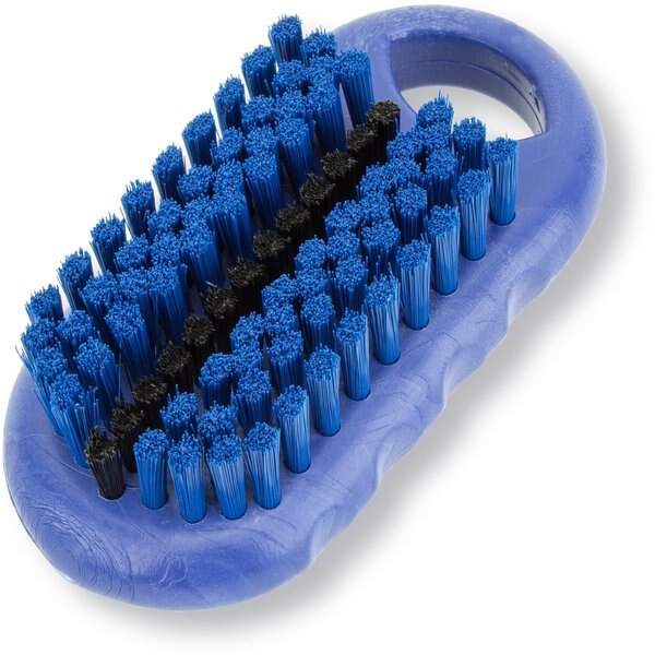2.25 in W Hand and Nail Brush, Blue, Polypropylene