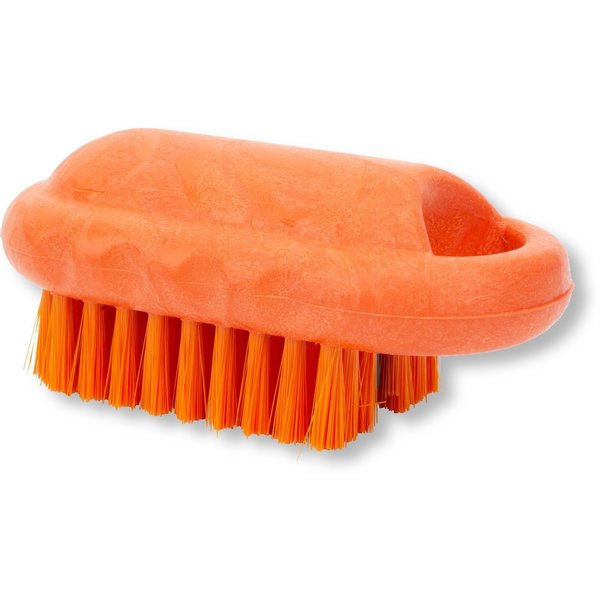 2.25 in W Hand and Nail Brush, Orange, Polypropylene