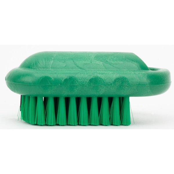 2.25 in W Hand and Nail Brush, Green, Polypropylene