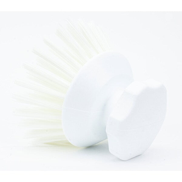 5 in W Round Scrub Brush, White, Polypropylene