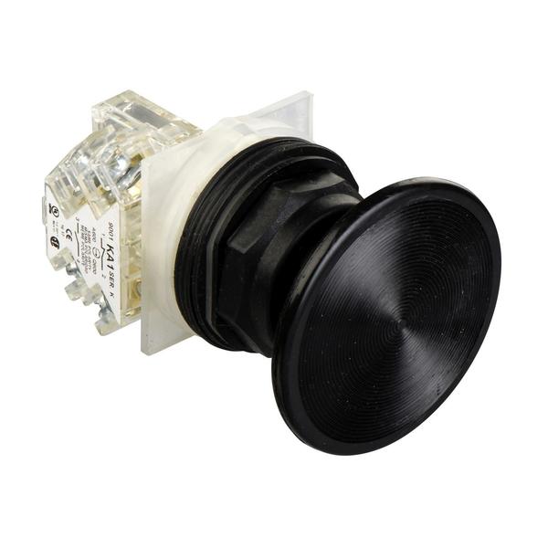 PUSHBUTTON 600VAC 10AMP 30MM SK OPTIONS