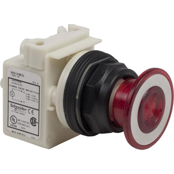 PUSHBUTTON 28V 30MM SK OPTIONS