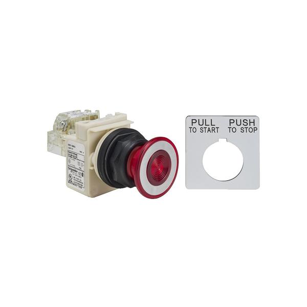 PUSHBUTTON 28V 30MM SK OPTIONS
