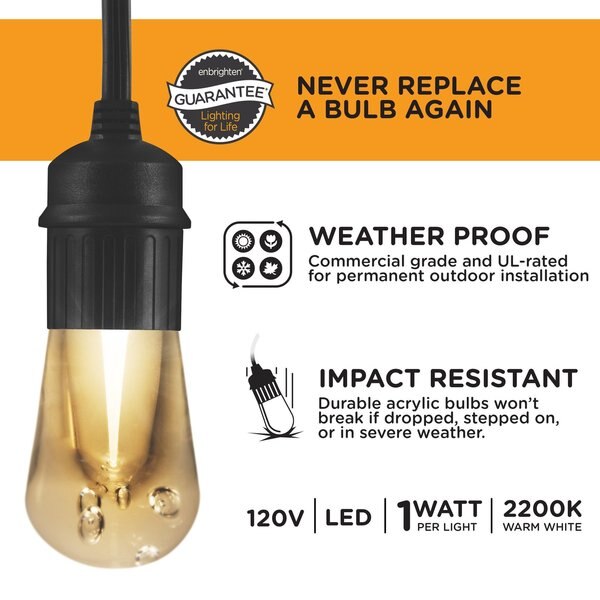 Cafe Lights, 24 ft., 12 Bulb