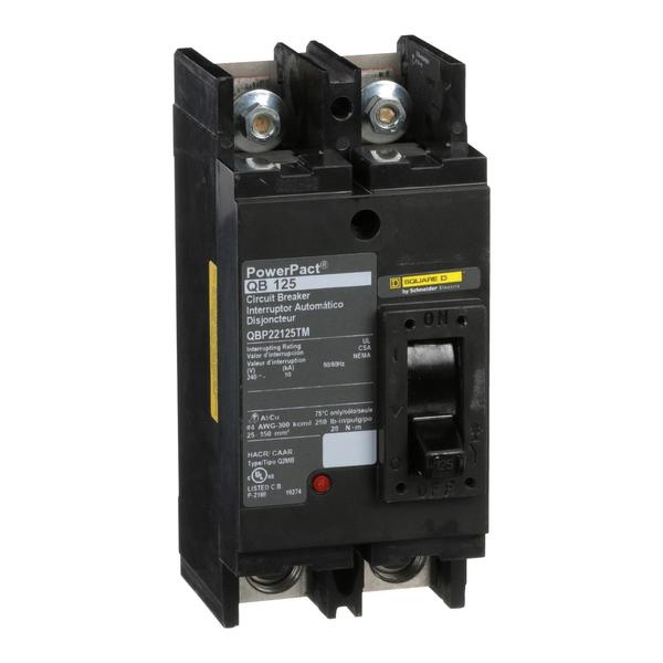 PowerPact Q - molded case circuit breake, 125 A, 240V AC, 2 Pole, Unit Mount Lug Mounting Style