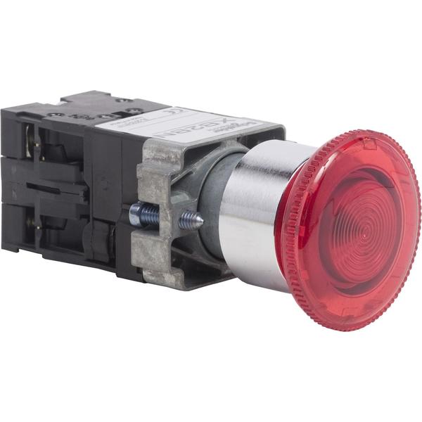 Pushbutton XB2B-diameter 022 mm-600V