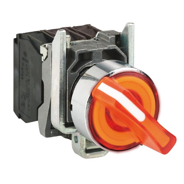 Illuminated selector switch, metal, oran