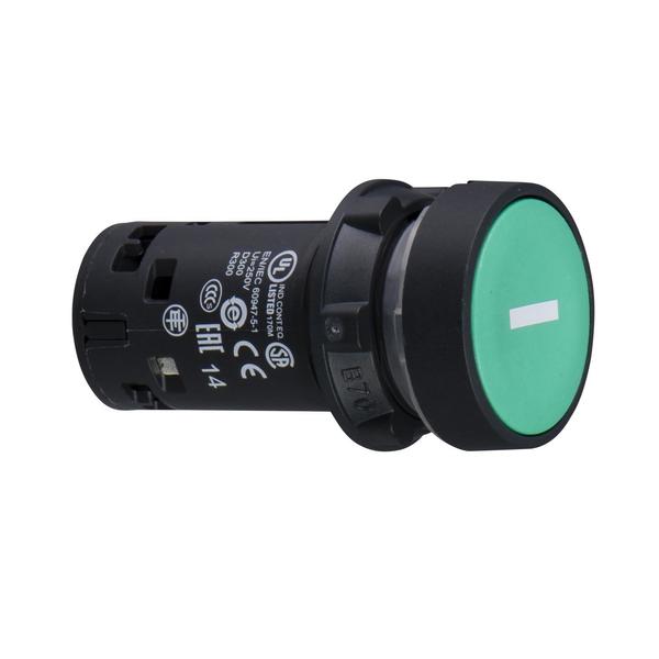 Monolithic push button, plastic, green,