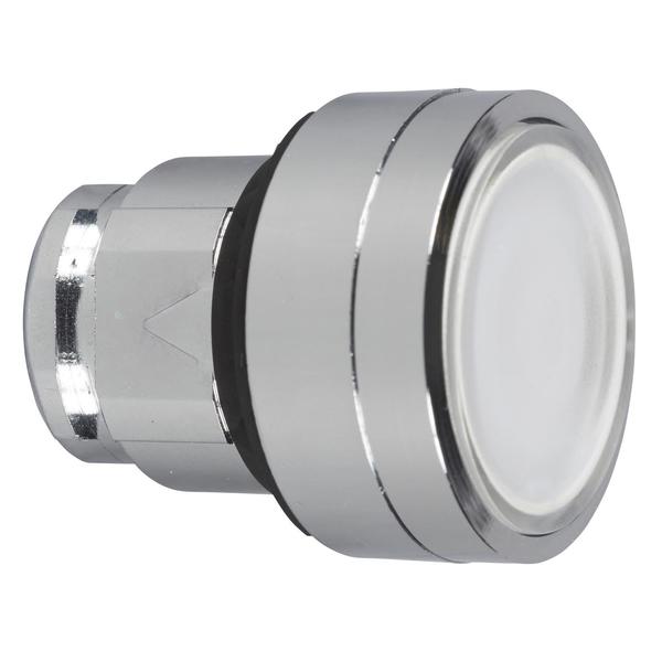 White flush illuminated pushbutton head