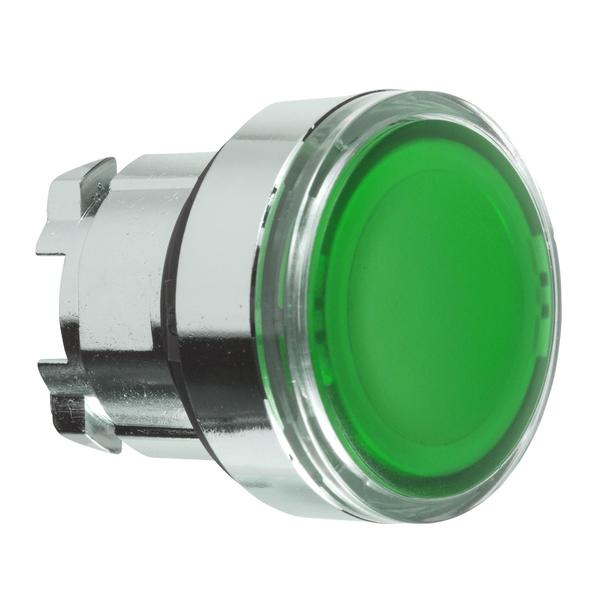 Green flush illuminated pushbutton head