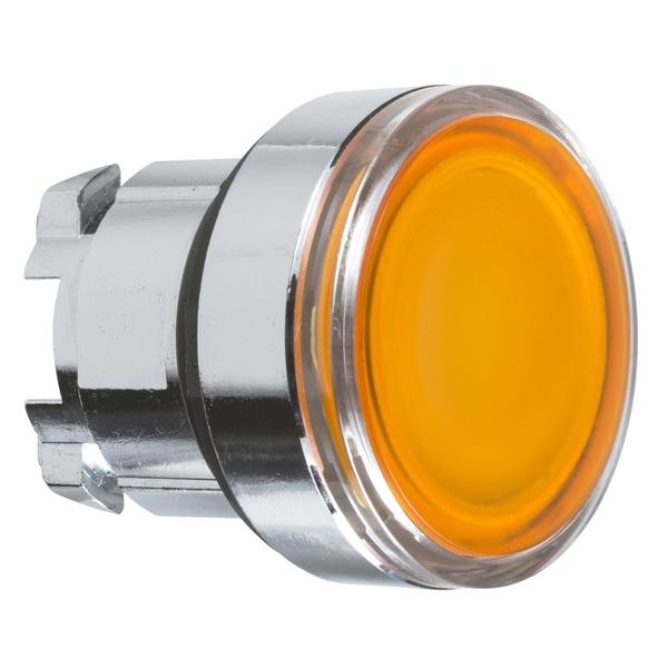 Orange flush illuminated pushbutton head