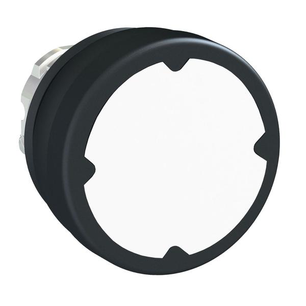 Pushbutton head for harsh environment-