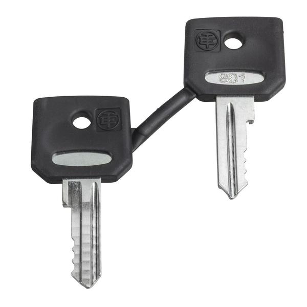 Set of 2 keys 455 with one booted