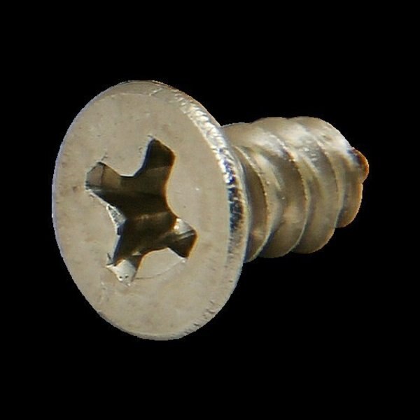 S/S Stand Bear Pad Screw, 10S #8 X.375