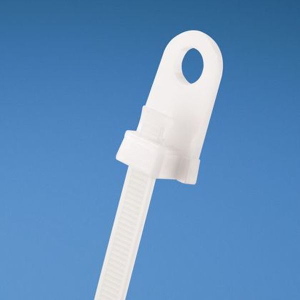 Cable Tie, 15.6