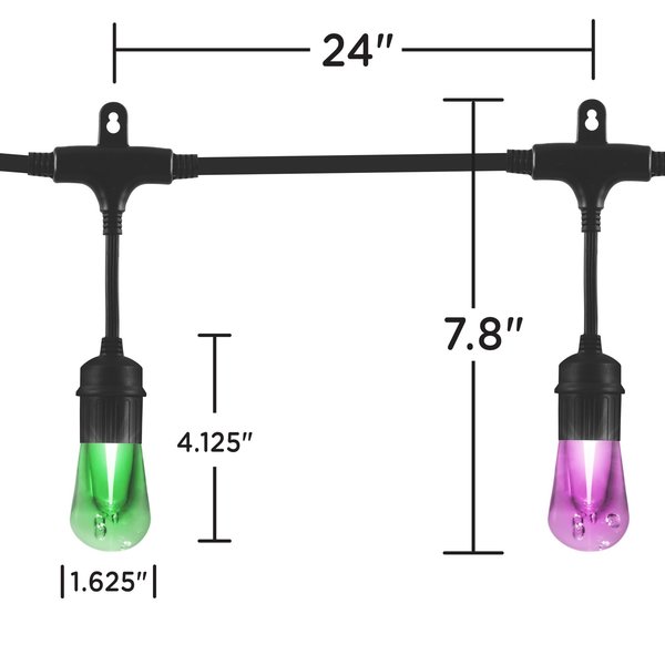 Seasons Cafe Lights, 24 ft., 12 Bulbs