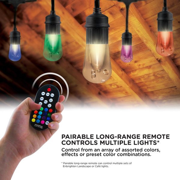 Seasons Cafe Lights, 24 ft., 12 Bulbs